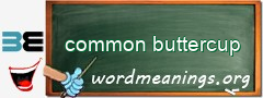 WordMeaning blackboard for common buttercup